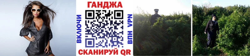 Бошки Шишки конопля  Пугачёв 